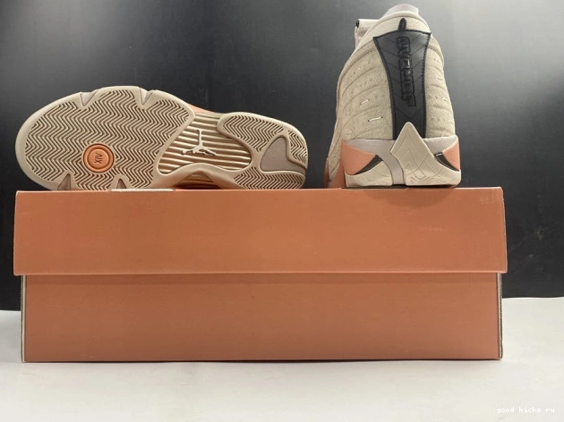 Retro Terra 14 Low Clot Blush Jordan DC9857-200 AIR 0821